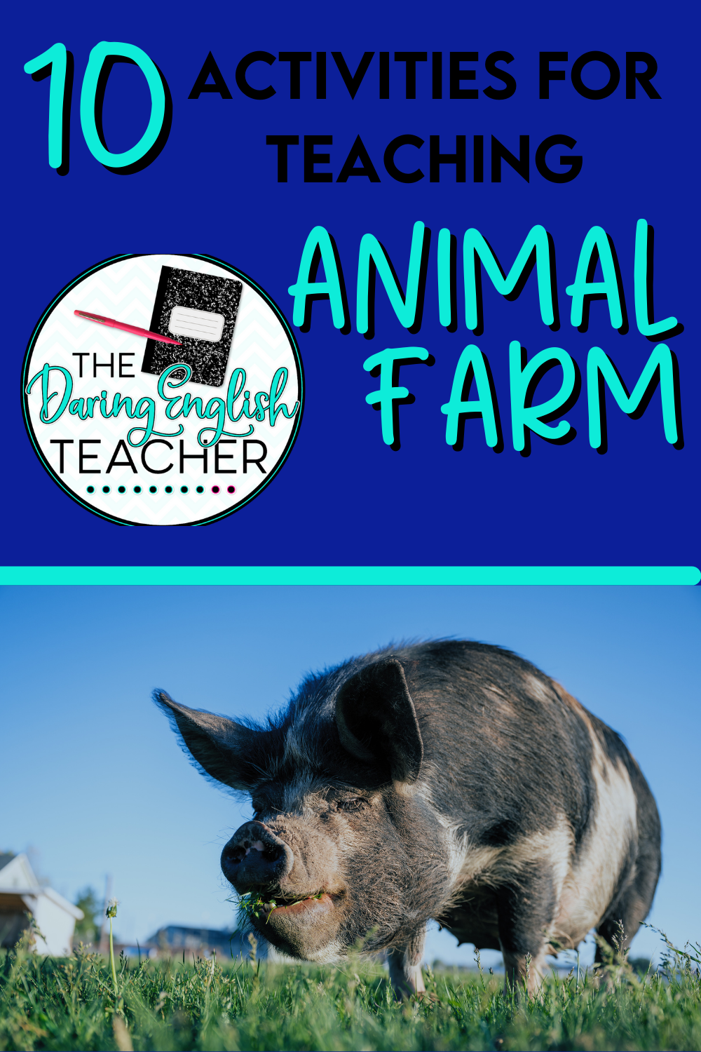 10-activities-for-teaching-animal-farm-the-daring-english-teacher